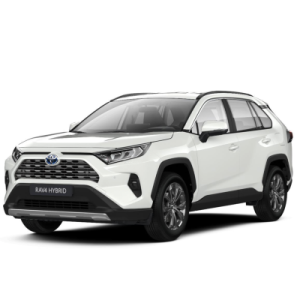 Toyota RAV 4 2.5 Hybrid 4x2 Team Deutschland | Modena Motors GmbH